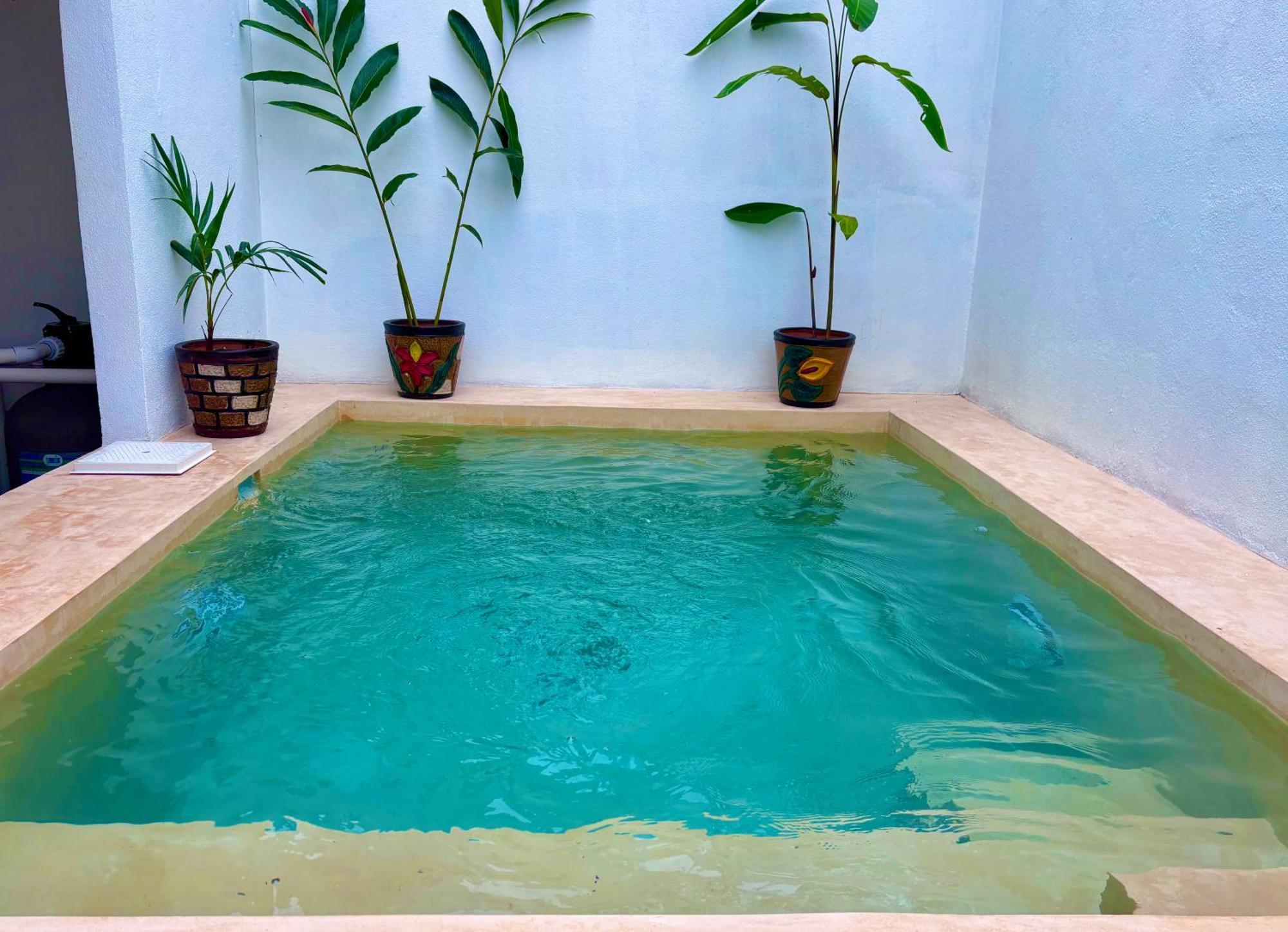 Вилла Excelente Alberca Privada En Residencial Privado, Gym, Asador Сьюдад-Вальес Экстерьер фото