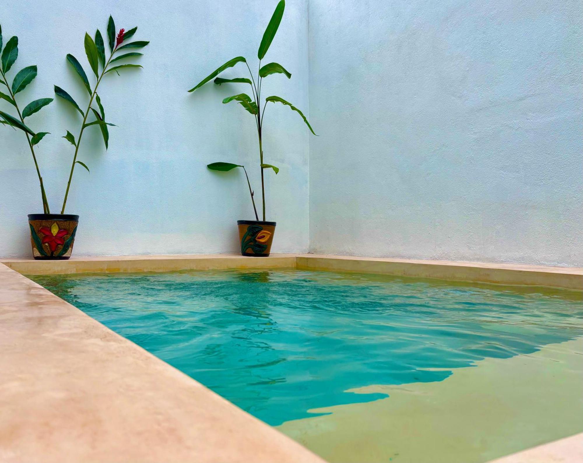 Вилла Excelente Alberca Privada En Residencial Privado, Gym, Asador Сьюдад-Вальес Экстерьер фото